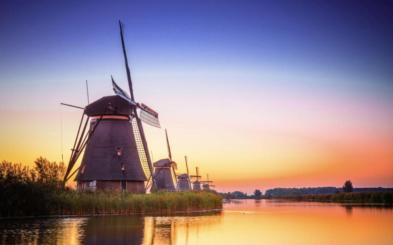 B&B Oostzomerland Mijnsheerenland ภายนอก รูปภาพ