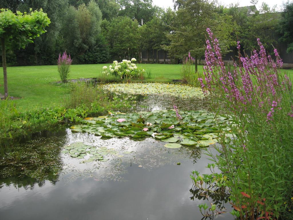 B&B Oostzomerland Mijnsheerenland ภายนอก รูปภาพ
